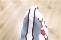 財(cái)犬迎春（紅色燙金）