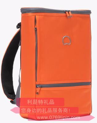 法國(guó)大使DELSEY 多用途雙肩背包 000014600