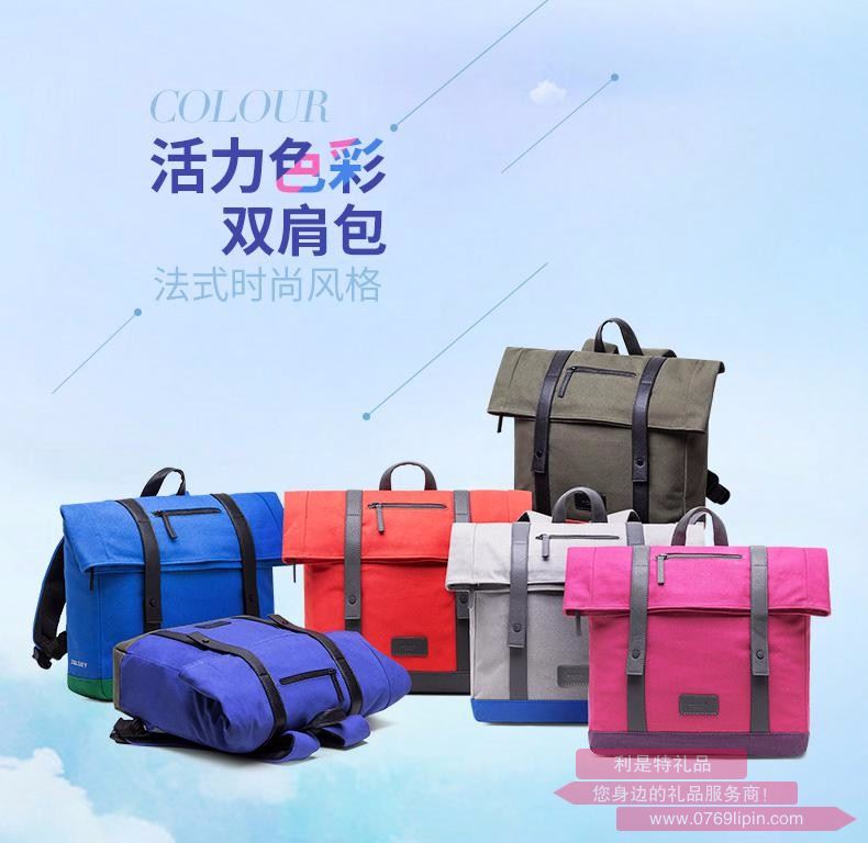 法國大使DELSEY 休閑雙肩包 703712600