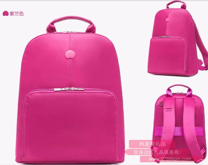 法國(guó)大使DELSEY 雙色手提包 703708600