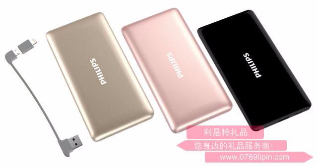 飛利浦移動電源 DLP6101 2種充電接口