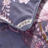 “塞浦路斯”歐風(fēng)被 PG-B2019