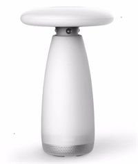雙USB充電口智能護(hù)眼燈