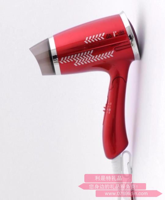 GD-231 愛(ài)家  電吹風(fēng)