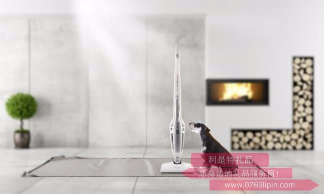 ZB3150 無(wú)線直立式吸塵器