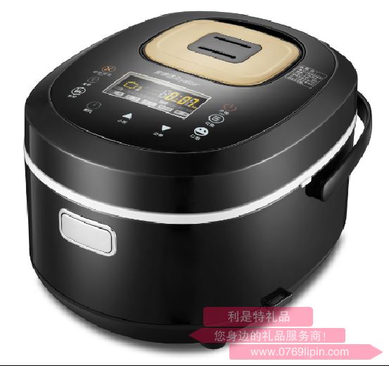 榮事達 智能電腦煲 RFB-Y505S