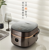 九陽(yáng)微電腦智能電飯煲 JYF-20FY1