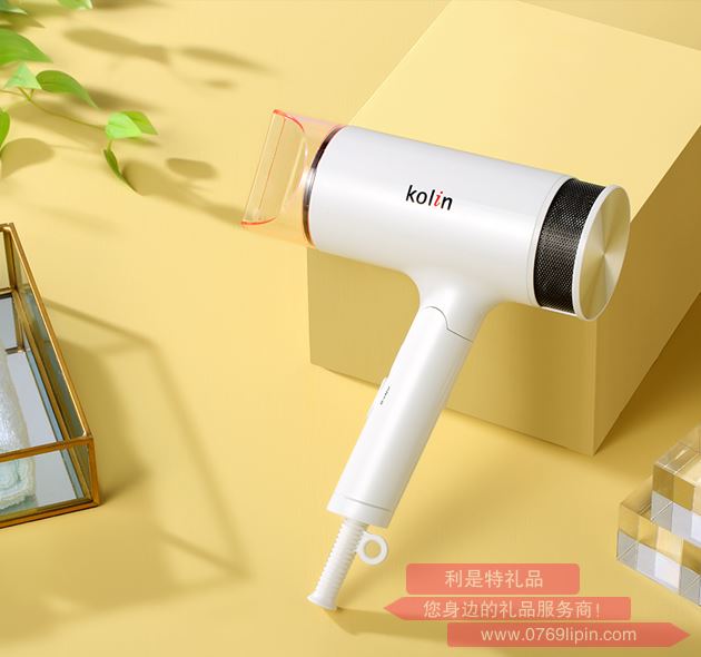 靜姿電吹風(fēng)L-GL9126X