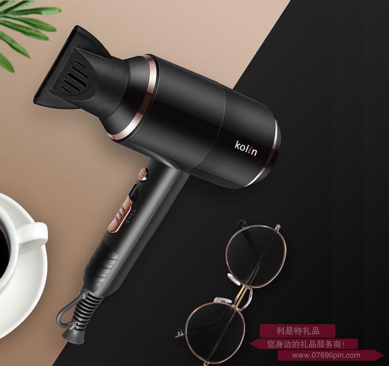 金姿高級(jí)家用電吹風(fēng)L-GL9186X