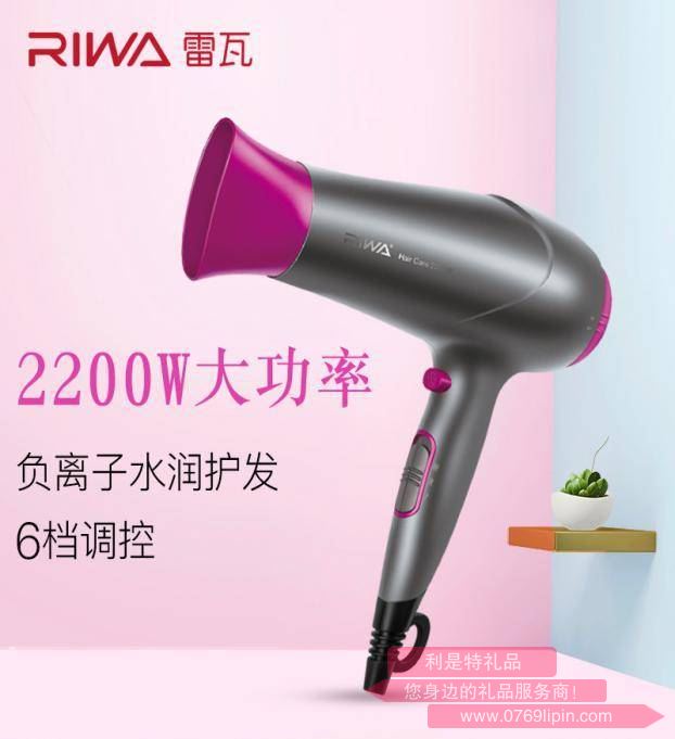 電吹風—— RC-7166