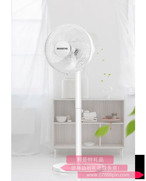 清爽電風(fēng)扇 SKD-F0021