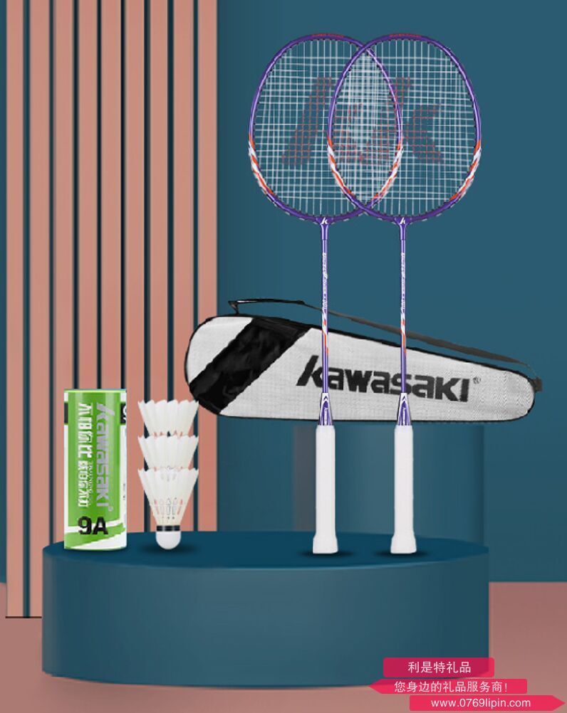 UNITE Power-001羽毛球拍套裝.png UNITE Power-001羽毛球拍套裝.png