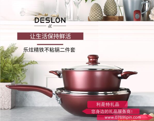 樂炫精鐵不粘鍋兩件套 DFS-TZ106A