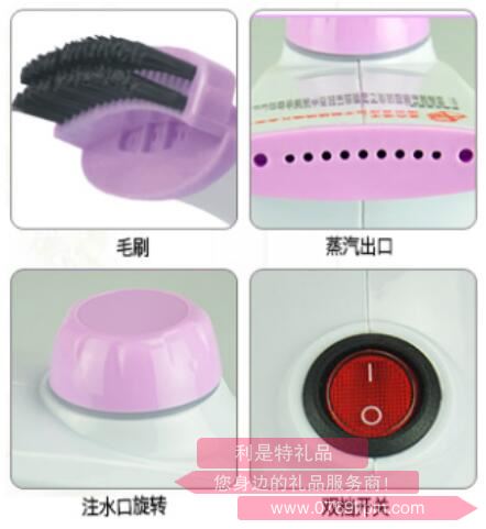 紫霞仙子·手持掛燙機(jī)2.jpg