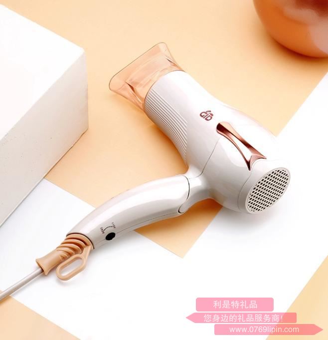 GD-F020V悅雅  電吹風(fēng).jpg