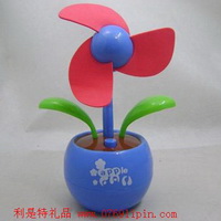 太陽(yáng)能蘋(píng)果花006
