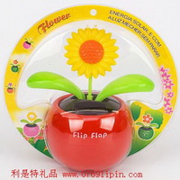 太陽(yáng)能蘋(píng)果花002