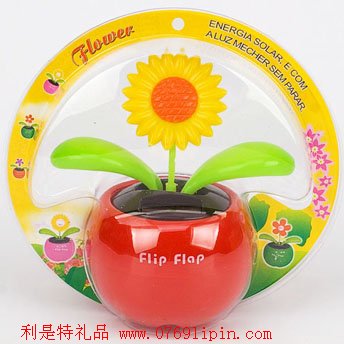 太陽(yáng)能蘋果花002
